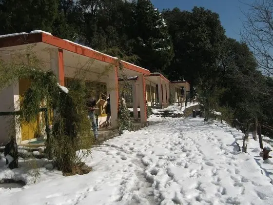 Janardan Resort Pangot, Nainital - Dış Mekan