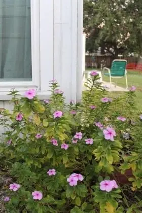 Jane's Cozy Cottage - Rental Ready - Dış Mekan