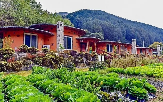 Jangseong Pyeonbaeksup Hwangto Pension