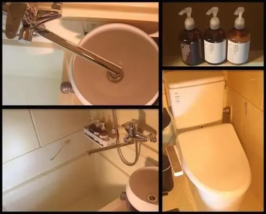 Japan Snowsports - Banyo Tipleri