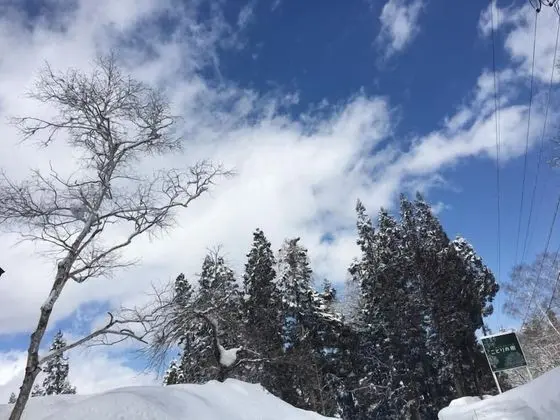 Japanese Style Pension Kotorinoki - Dış Mekan