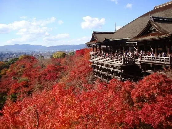 Japaning Kyoto