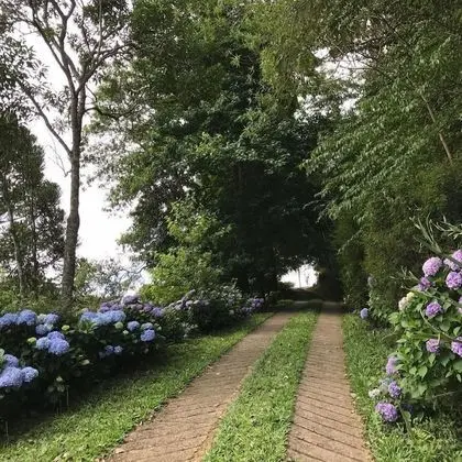 Jardim Suspenso da Babilônia - İç Mekan
