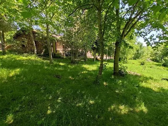 Jardín Mandala Hotel Rural Los Tilos