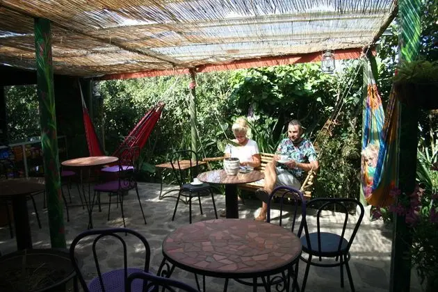 Jardines De Monteverde - Manzara / Peyzaj