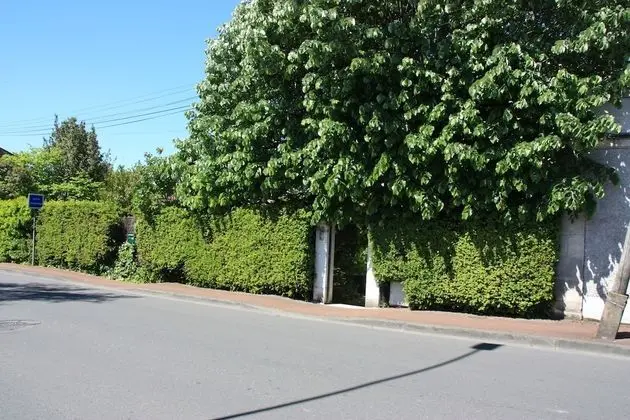 Jardins en Ville - Öne Çıkan Resim