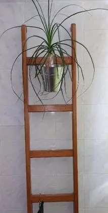 Jase - Nice View - A1