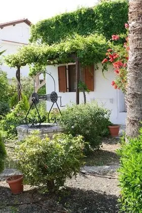 Jasmine apartments - Dış Mekanlar