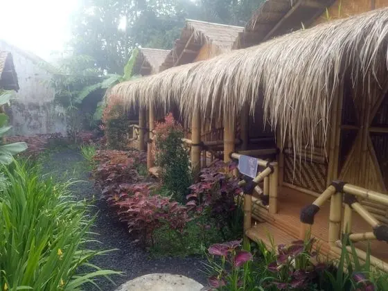 Javana Homestay