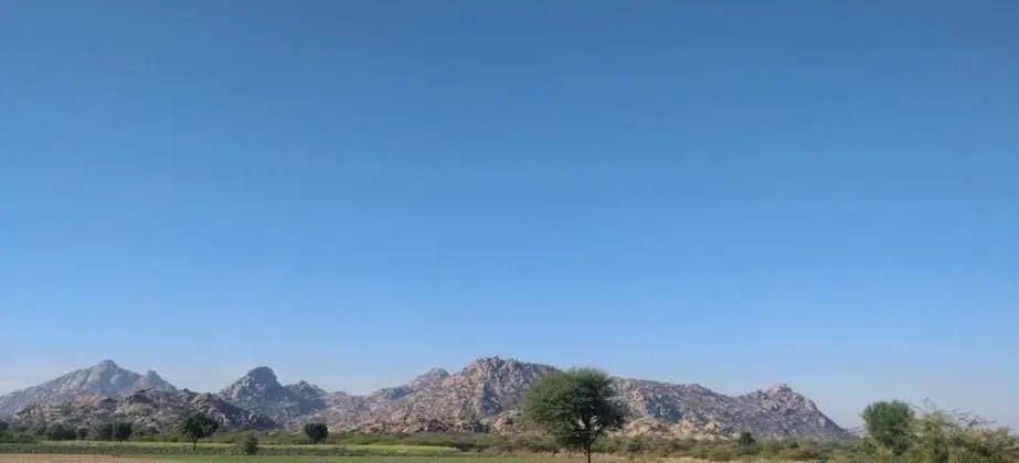 Jawai Jungle Safari Camp