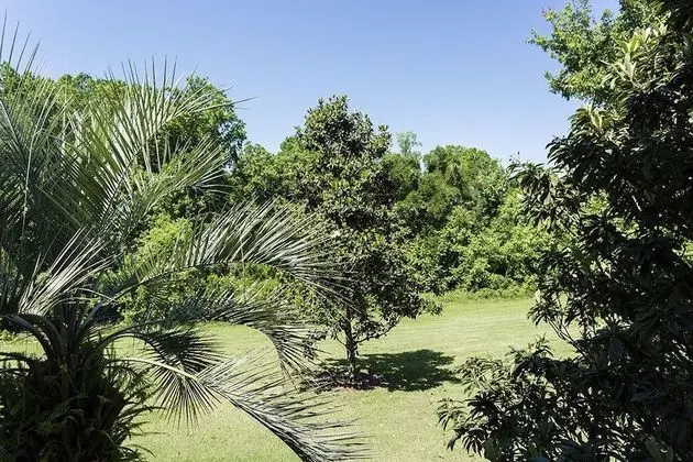 Je61750 - Reunion Resort - 3 Bed 3 Baths Condo - Dış Mekan