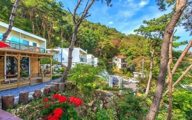 Jecheon Montmartre Pension