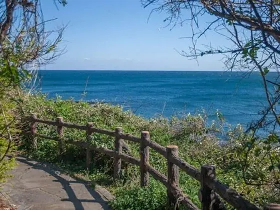 Jeju Bada Walking Pension - Plaj