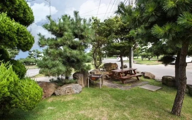 Jeju Badagasuimteo Pension - Misafir Tesisleri ve Hizmetleri