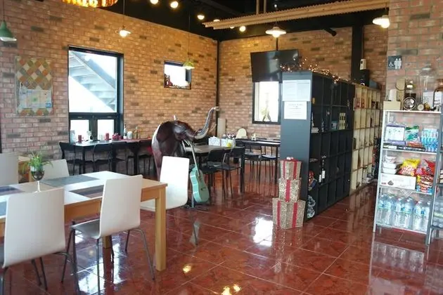 Jeju Baramuieondeok Guest House - Misafir Tesisleri ve Hizmetleri