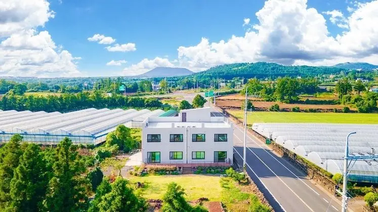 Jeju Chunjane Pension - Dış Mekan