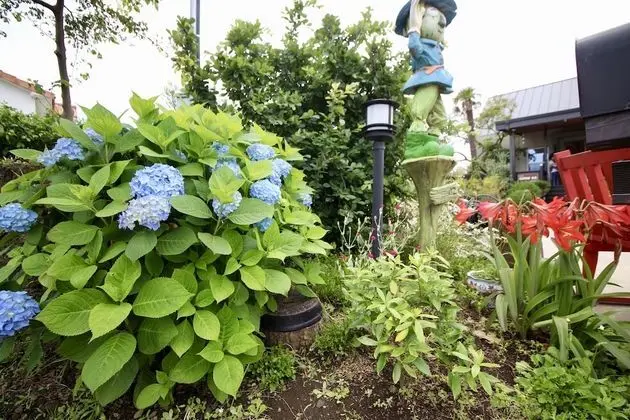 Jeju Herb Pension Oz - Dış Mekan