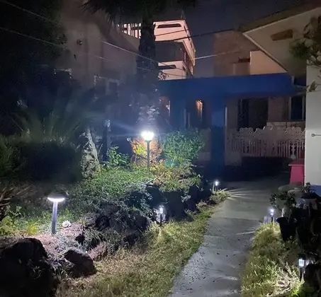 Jeju Honey Night Guest House - Misafir Tesisleri ve Hizmetleri