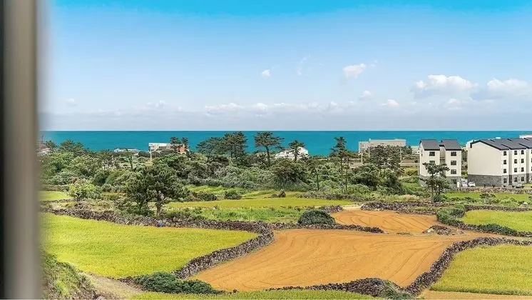 Jeju Hoyeongfarm Stay