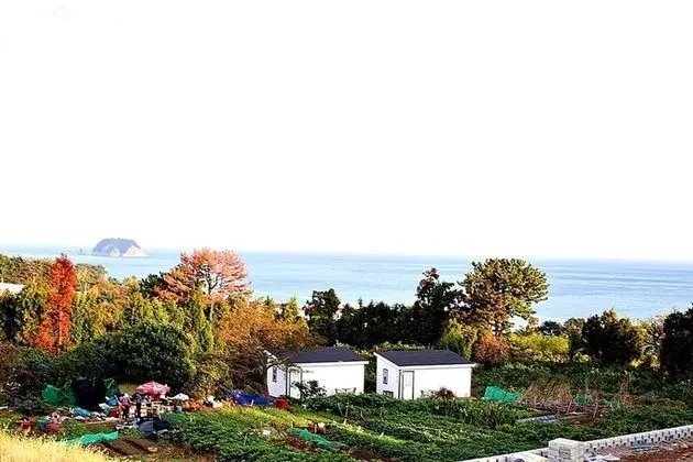 Jeju Inhouse Pension