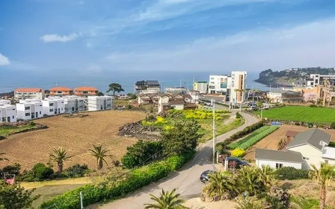 Jeju J Leblanc Pension - Misafir Tesisleri ve Hizmetleri