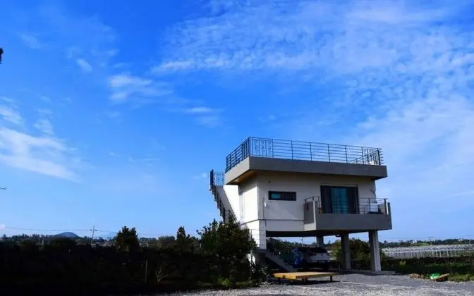 Jeju Joamoru Pension - Misafir Tesisleri ve Hizmetleri