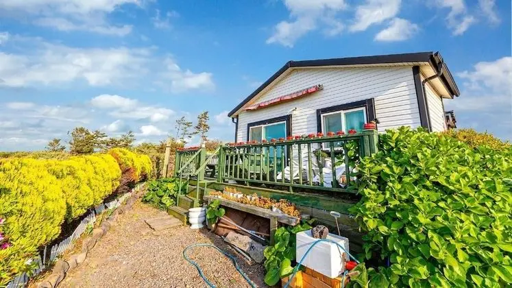 Jeju Kkot Hyang gi Badasori Pension - Dış Mekan