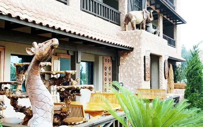 Jeju Oedolgaenara Pension & Guesthouse - Misafir Tesisleri ve Hizmetleri