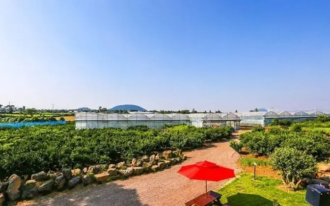 Jeju Osaekgyul Cheheom Pension - Bina Özellikleri