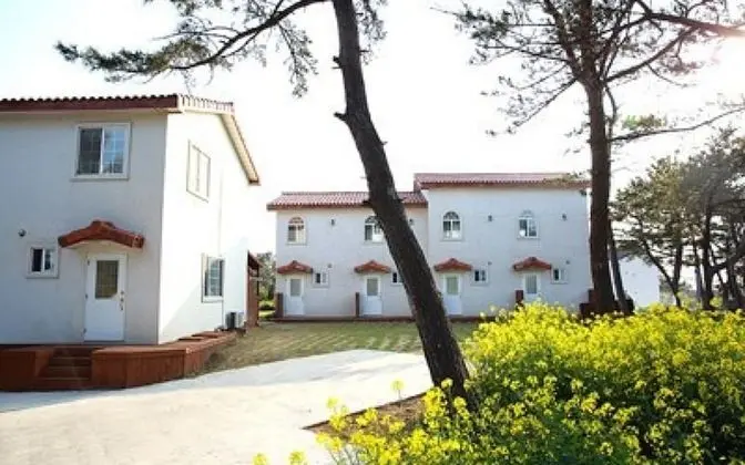 Jeju Owl House Pension