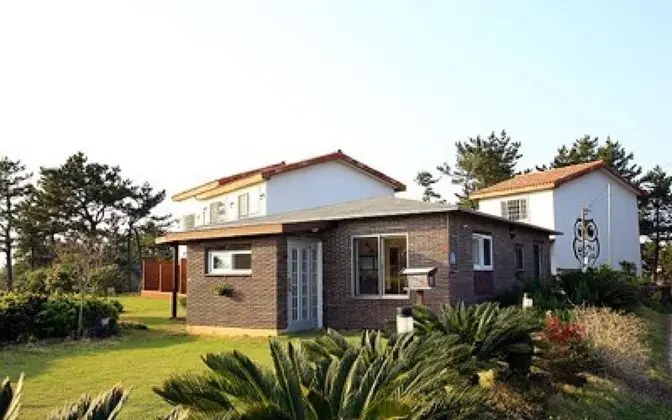 Jeju Owl House Pension - Misafir Tesisleri ve Hizmetleri