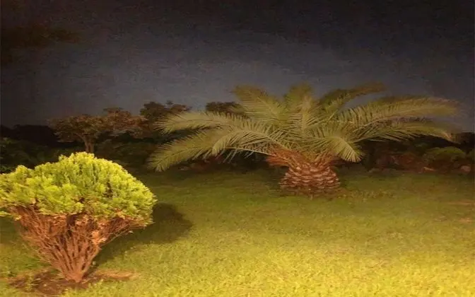 Jeju Pyeongdaeri 943 Tu Casa - Dış Mekan
