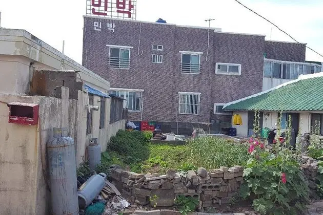 Jeju Sunflower Guest House - Dış Mekan