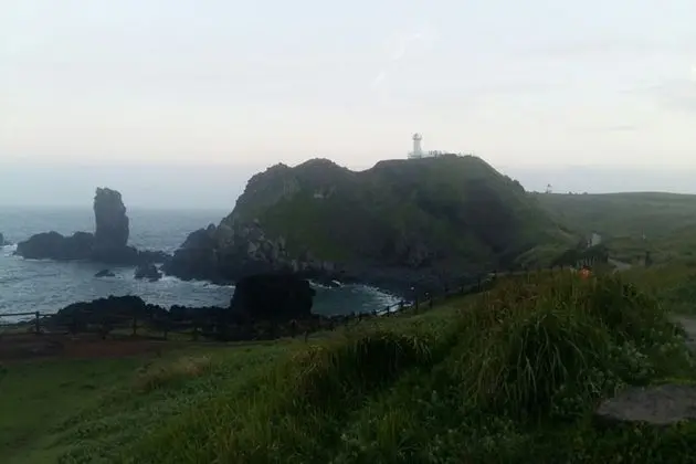 Jeju Sunflower Guest House - Dış Mekan