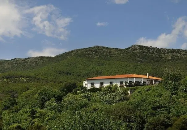 Jennifer Home Hotel