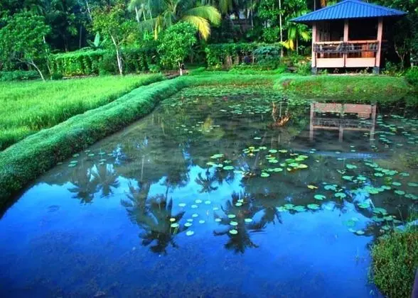 Jetwing Kurulubeddha