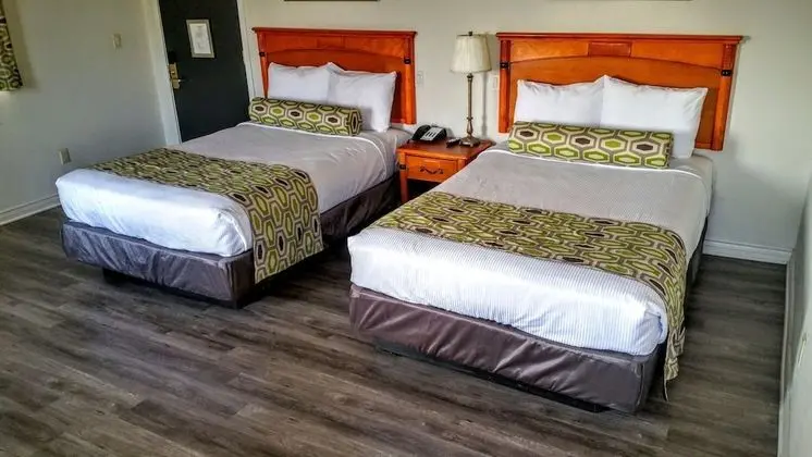 Jewel City Inn - Oda Manzaraları