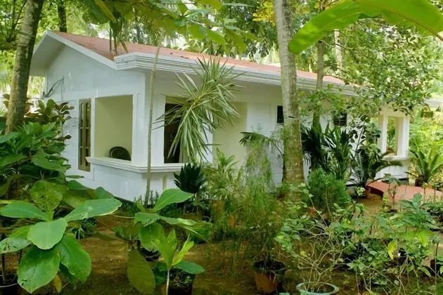Jickys Nest