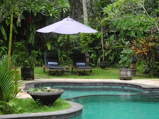 Villa Jineng Ubud Bali - Havuz