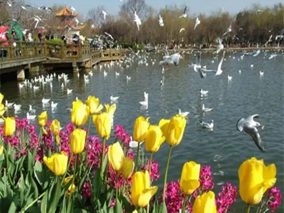 Jinjiang Inn Kunming Changshui Airport - Dış Mekan