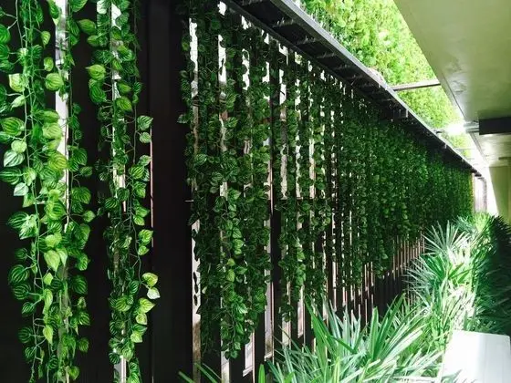 Jj Residence
