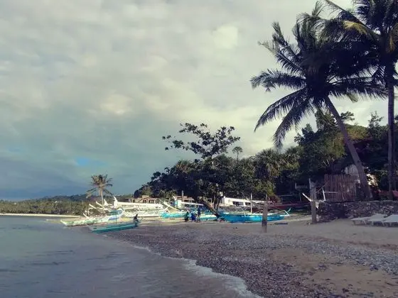 Joan Beach Resort - Plaj