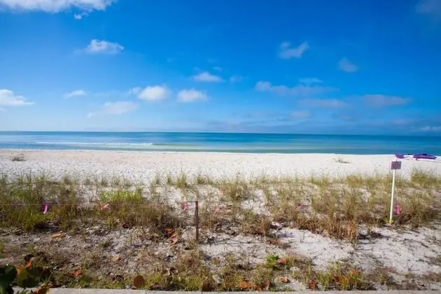 John's Dolphin Way Condo - Plaj