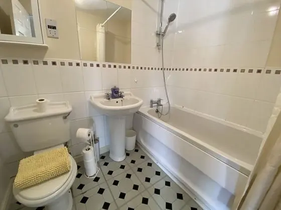 Johnson Townhouse - Banyo Tipleri
