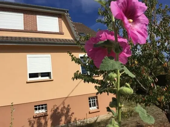 Jolie halte normande - 1