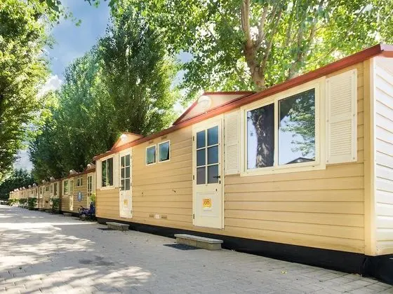 Jolly Camping in Town