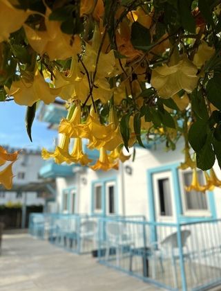 Joly HotelFotoğrafı