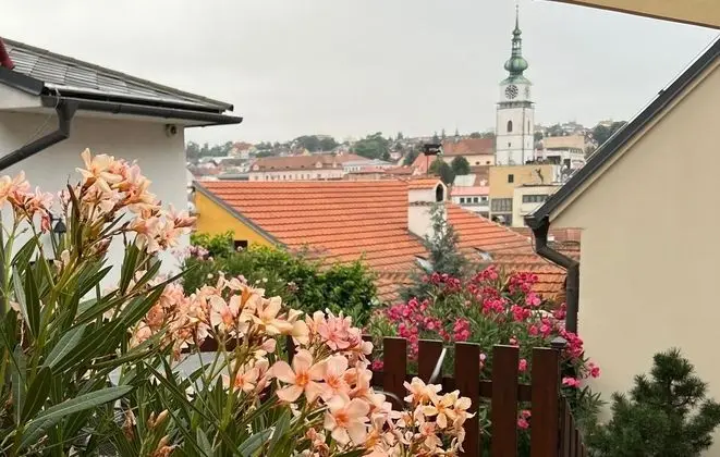 Hotel Joseph 1699 - Dış Mekan