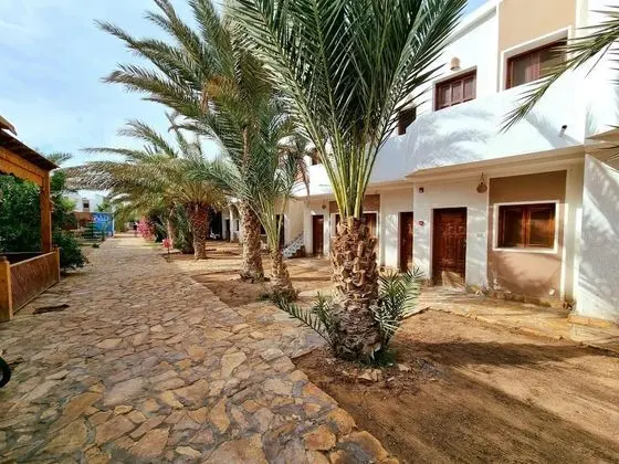 Jowhara Hotel - Dış Mekan
