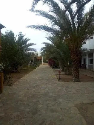 Jowhara Hotel - Oda Manzaraları